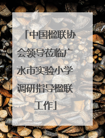 中国楹联协会领导莅临广水市实验小学调研指导楹联工作