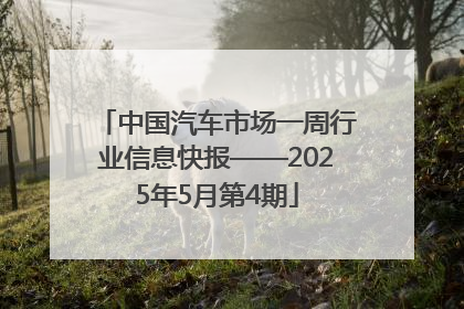 中国汽车市场一周行业信息快报——2025年5月第4期