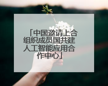 中国邀请上合组织成员国共建人工智能应用合作中心