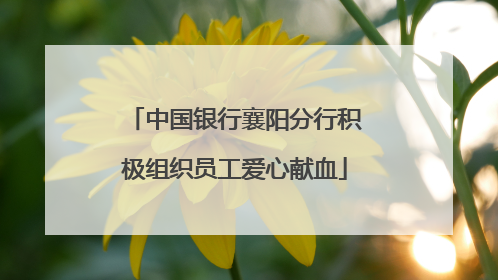中国银行襄阳分行积极组织员工爱心献血