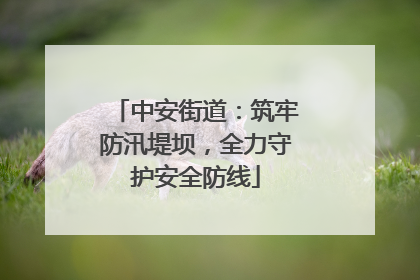 中安街道：筑牢防汛堤坝，全力守护安全防线