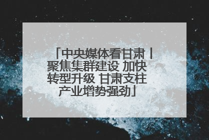 中央媒体看甘肃丨聚焦集群建设 加快转型升级 甘肃支柱产业增势强劲