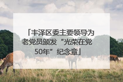 丰泽区委主要领导为老党员颁发“光荣在党50年”纪念章