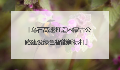 乌石高速打造内蒙古公路建设绿色智能新标杆