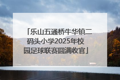 乐山五通桥牛华镇二码头小学2025年校园足球联赛圆满收官