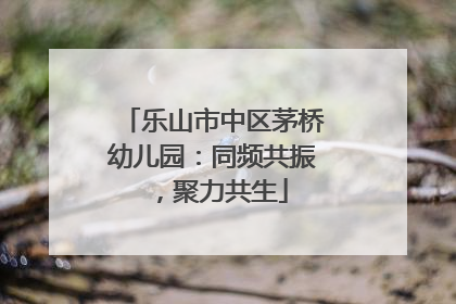 乐山市中区茅桥幼儿园:同频共振,聚力共生