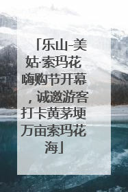 乐山-美姑·索玛花嗨购节开幕，诚邀游客打卡黄茅埂万亩索玛花海