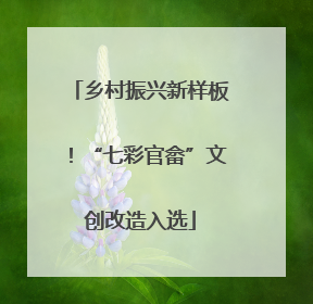 乡村振兴新样板！“七彩官畲”文创改造入选