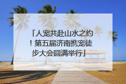 人宠共赴山水之约！第五届济南携宠徒步大会圆满举行