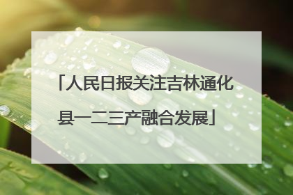人民日报关注吉林通化县一二三产融合发展