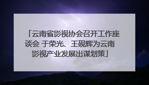云南省影视协会召开工作座谈会 于荣光、王砚辉为云南影视产业发展出谋划策