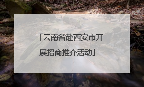 云南省赴西安市开展招商推介活动