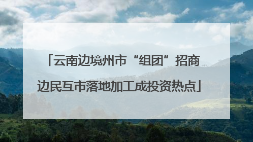 云南边境州市“组团”招商 边民互市落地加工成投资热点