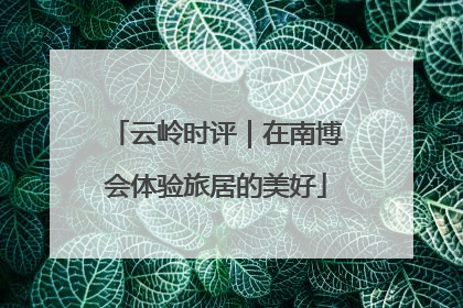 云岭时评｜在南博会体验旅居的美好