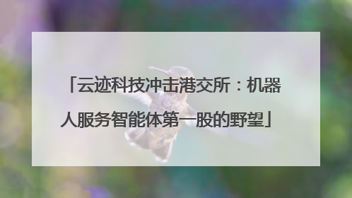 云迹科技冲击港交所：机器人服务智能体第一股的野望