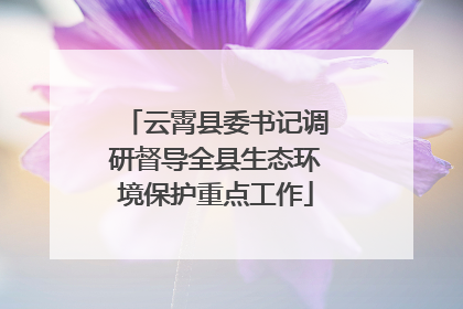 云霄县委书记调研督导全县生态环境保护重点工作