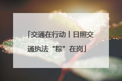 交通在行动丨日照交通执法“粽”在岗