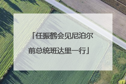 任振鹤会见尼泊尔前总统班达里一行
