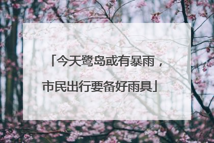 今天鹭岛或有暴雨，市民出行要备好雨具