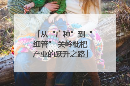 从“广种”到“细管” 关岭枇杷产业的跃升之路