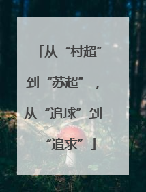 从“村超”到“苏超”，从“追球”到“追求”