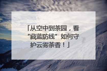 从空中到茶园，看“藏蓝防线”如何守护云雾茶香！