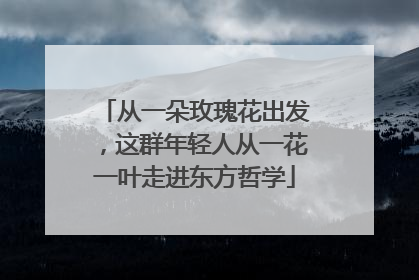 从一朵玫瑰花出发，这群年轻人从一花一叶走进东方哲学