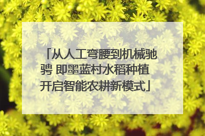 从人工弯腰到机械驰骋 即墨蓝村水稻种植开启智能农耕新模式