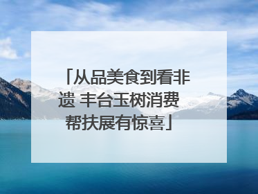 从品美食到看非遗 丰台玉树消费帮扶展有惊喜
