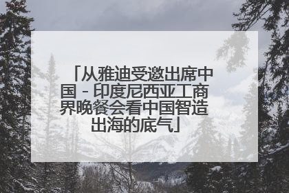 从雅迪受邀出席中国－印度尼西亚工商界晚餐会看中国智造出海的底气