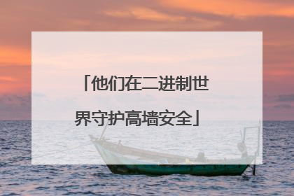 他们在二进制世界守护高墙安全