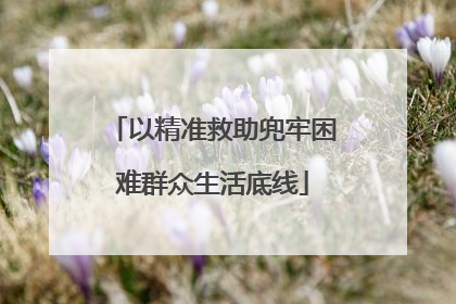 以精准救助兜牢困难群众生活底线