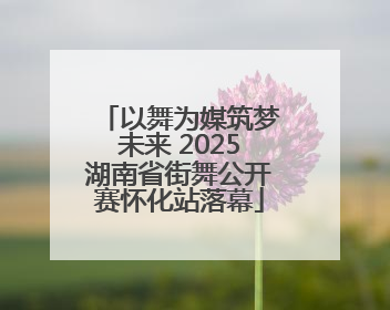 以舞为媒筑梦未来 2025湖南省街舞公开赛怀化站落幕