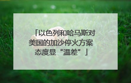 以色列和哈马斯对美国的加沙停火方案态度显“温差”