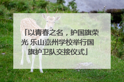 以青春之名，护国旗荣光 乐山嘉州学校举行国旗护卫队交接仪式