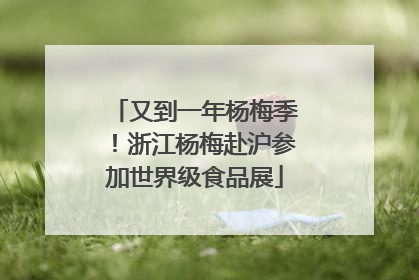 又到一年杨梅季！浙江杨梅赴沪参加世界级食品展