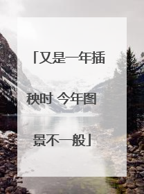 又是一年插秧时 今年图景不一般