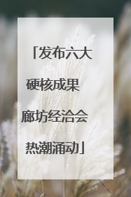 发布六大硬核成果 廊坊经洽会热潮涌动