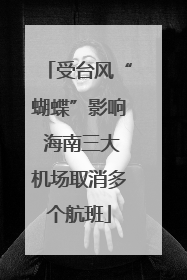 受台风“蝴蝶”影响 海南三大机场取消多个航班