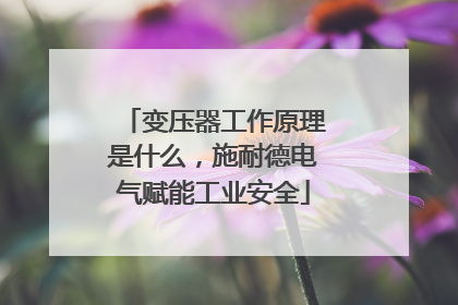 变压器工作原理是什么，施耐德电气赋能工业安全