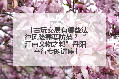 古玩交易有哪些法律风险需要防范？“江南文物之邦”丹阳举行专题讲座