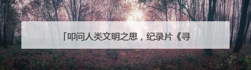 叩问人类文明之思，纪录片《寻访大师》解码法兰西文化基因