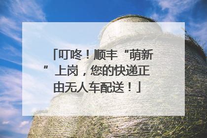 叮咚！顺丰“萌新”上岗，您的快递正由无人车配送！