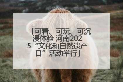 可看、可玩、可沉浸体验 河南2025“文化和自然遗产日”活动举行
