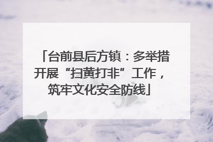 台前县后方镇：多举措开展“扫黄打非”工作，筑牢文化安全防线