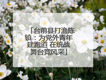 台前县打渔陈镇：为党外青年建跑道 在统战舞台竞风采