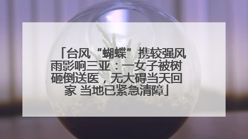 台风“蝴蝶”携较强风雨影响三亚：一女子被树砸倒送医，无大碍当天回家 当地已紧急清障