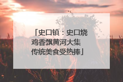 史口镇：史口烧鸡香飘黄河大集 传统美食受热捧