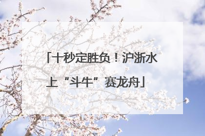 十秒定胜负！沪浙水上“斗牛”赛龙舟