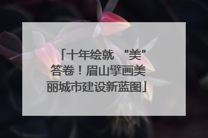 十年绘就 “美” 答卷！眉山擘画美丽城市建设新蓝图
